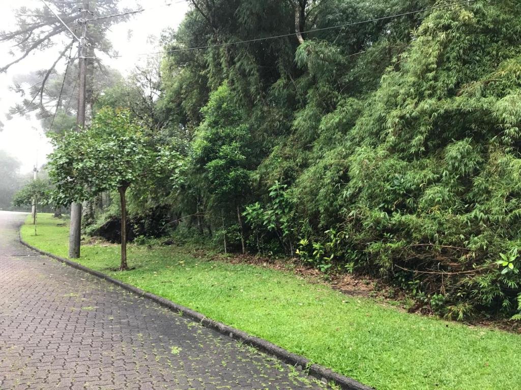 Terreno