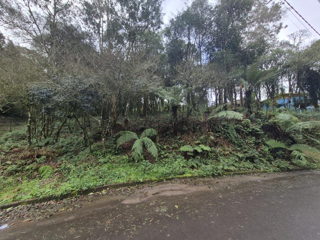 Terreno